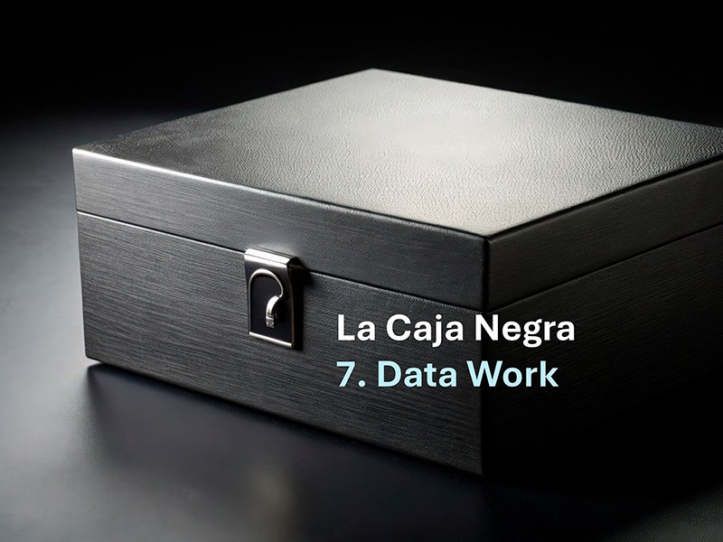7. La Caja Negra: Data&nbsp;Work