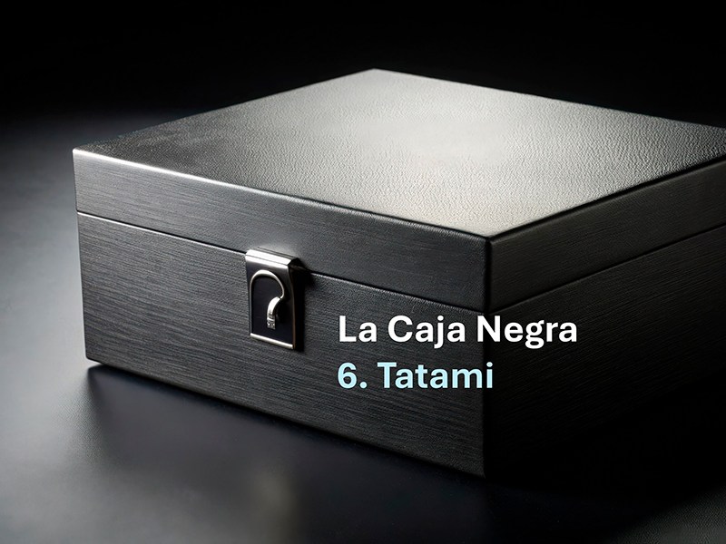 6. La Caja Negra:&nbsp;Tatami